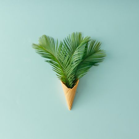 Palm tree leaves in waffle cone on blue background