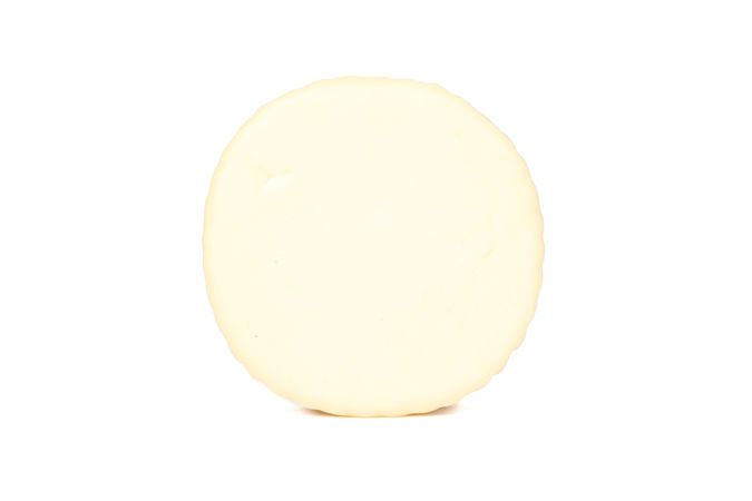 Delicious suluguni cheese isolated on plain background