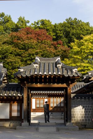 Back view of a man standing at Gyeongbokgung Palace outdoor