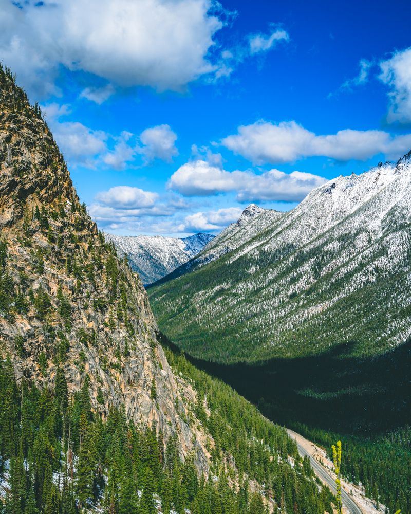 Green trees on mountain under blue sky
