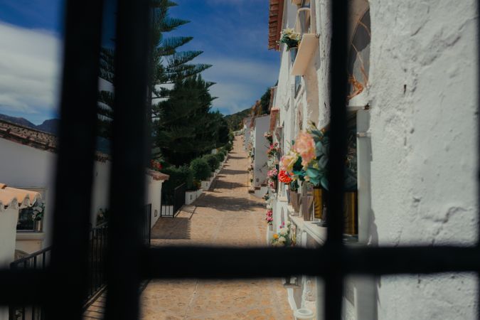 Empty road along houses with walls and flowers on windows