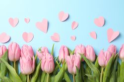 Pink tulips and decorative hearts on blue background, top view