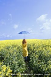 Woman holding umbrella in a field of flowers 486qY0