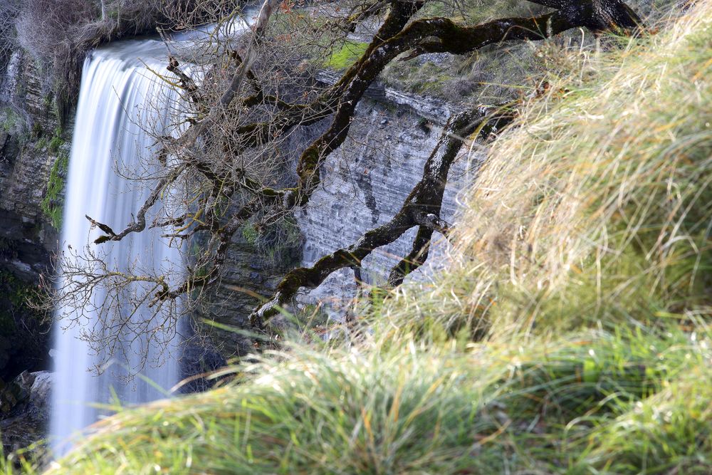 Autumn tree and waterfall