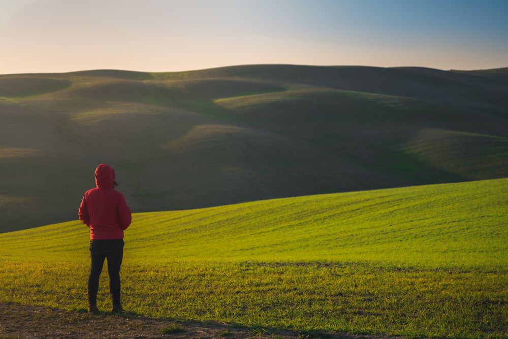 Traveling man walking on green rural road