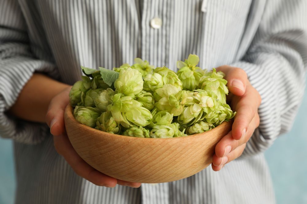 Woman hold bowl with hop, front view