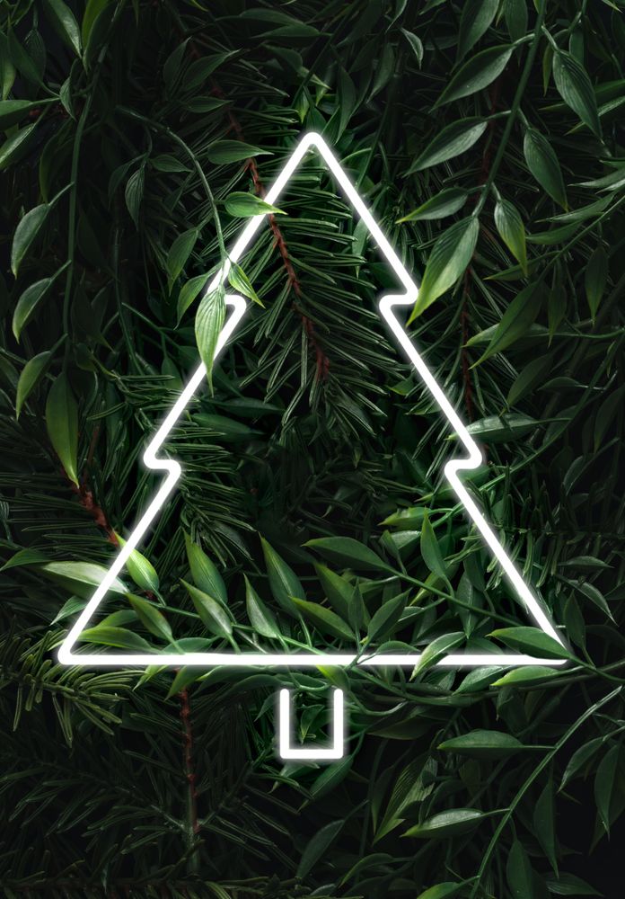 Festive tree outline in light on background of green eaves