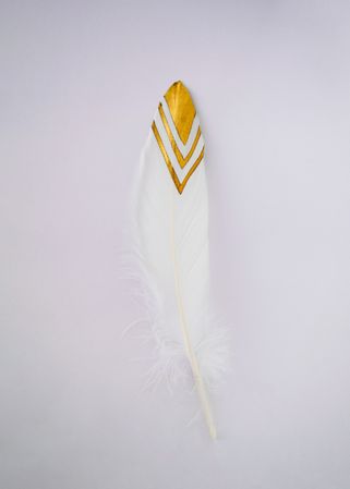 Feather with gold trimming