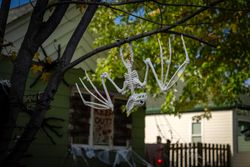 Bat decoration for halloween