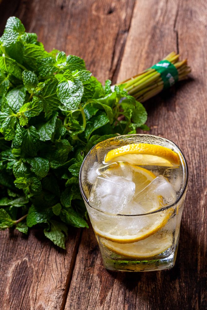 Ice Lemonade