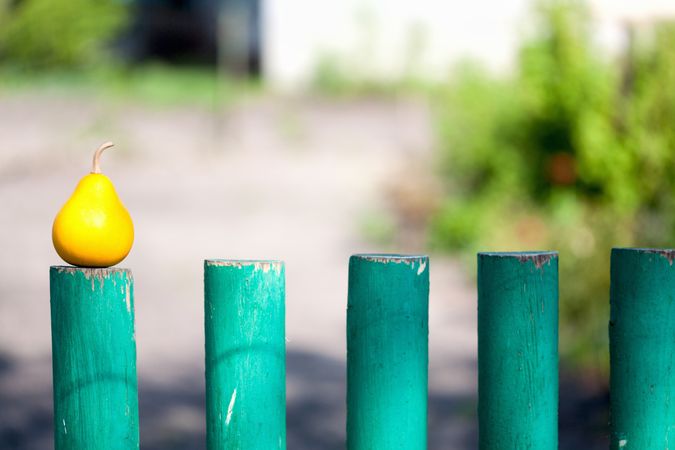 Pear on a green wooden fence