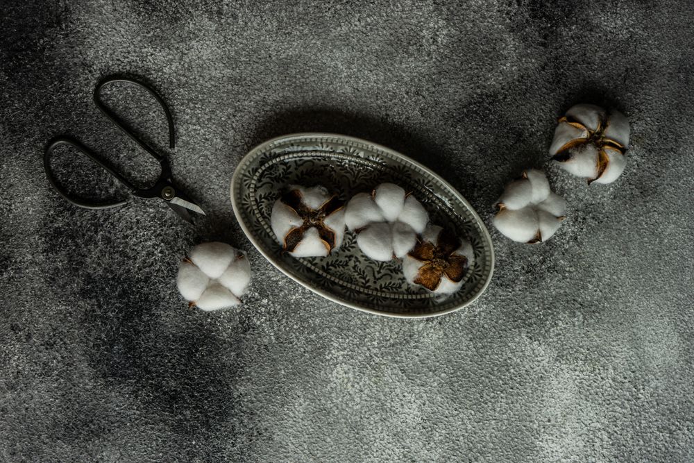 Grey plate with cut fresh cotton