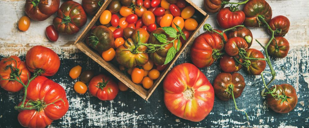 Assortment of different tomatoes, large to small and green to red, horizontal composition