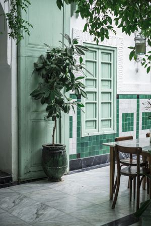 Exterior of green Arabic cafe