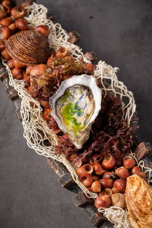 Fresh yummy opened oyster served in restaurant