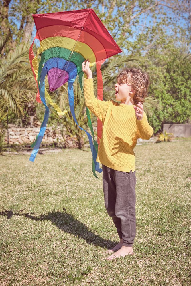 Excited boy with colorful kite on lawn