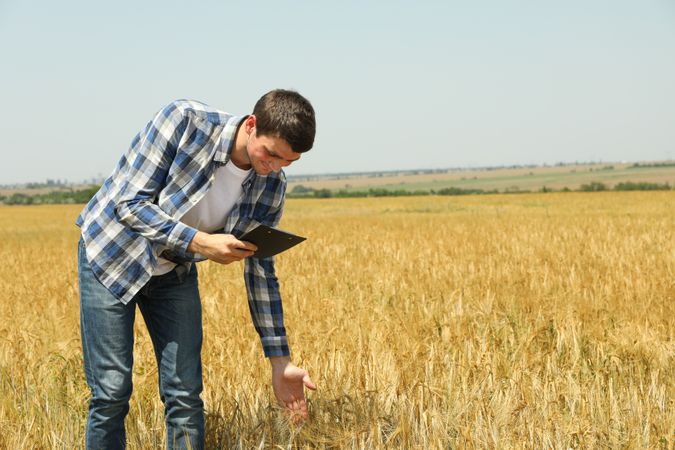 Young man with clipboard in barley field. Agriculture business
