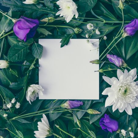 Layout made of green leaves and purple flowers with light paper card