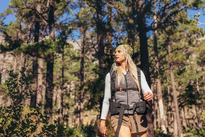 Woman hiker trekking in a forest