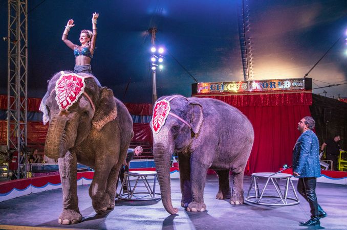 A man and woman with elephants performing at Circus World Museum in Baraboo, Wisconsin