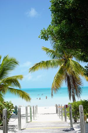 Pathway between palm trees leading to sandy seashore