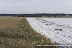 A half harvested, half snowy field 4jQ235