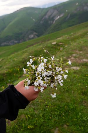 Hand holding bouquet of wildflowers