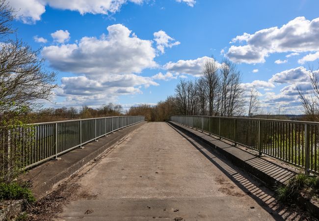 Narrow bridge with metal railing crossing a river in spring