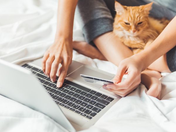 Cute ginger cat and woman in bed with laptop