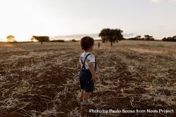 Little boy looking around in a field with trees in the distance bYpnN4
