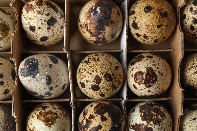 Quail eggs in carton box as background, closeup and top view