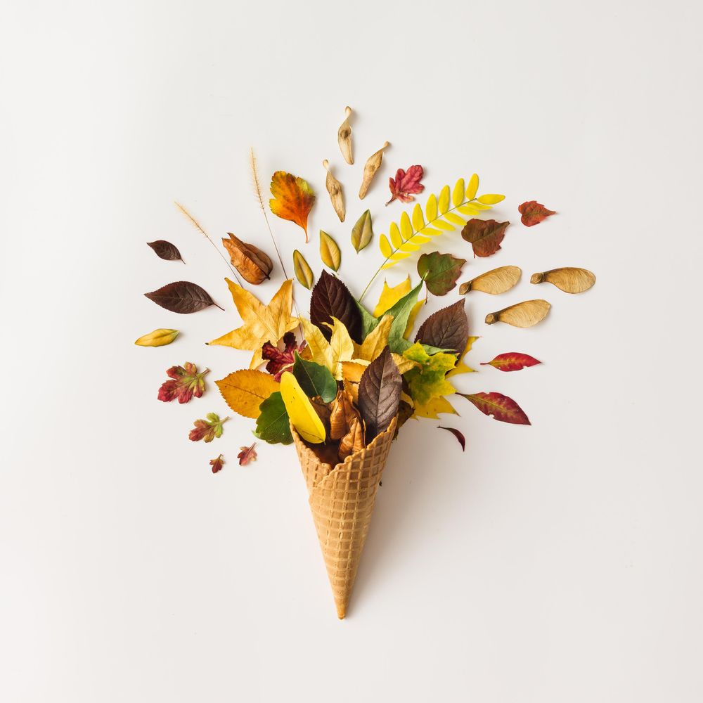Ice cream cone with autumn leaves