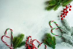 Christmas card concept with candy canes and branches