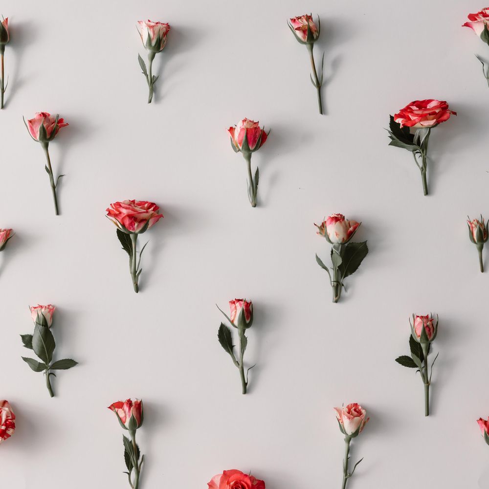 Colorful flowers pattern on light background