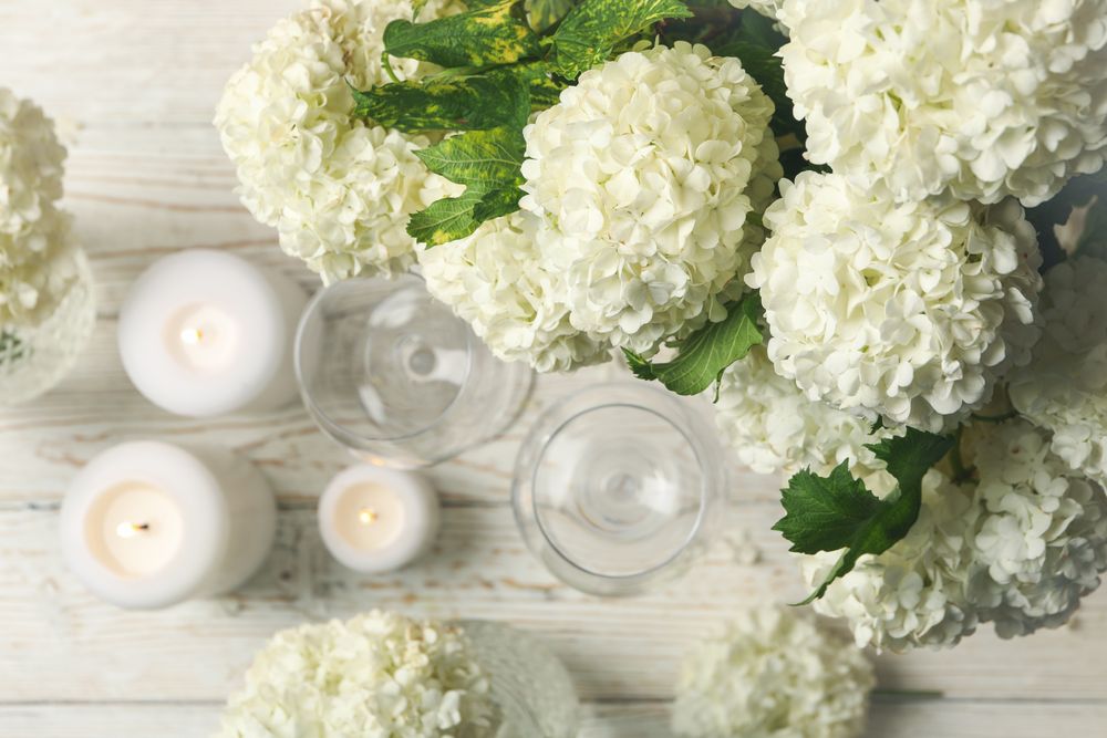 Composition with hydrangea flowers on wooden background, top view. Romantic evening