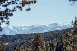 Picturesque view of peaks of mountains in snow and forest