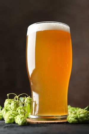 Glass of beer and hop cones on wooden table, copy space