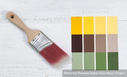 New paintbrush and future several color sample templates 0y1va0