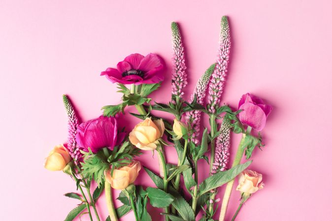 Arrangements of pink and yellow flowers on pink background