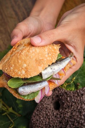 Vertical photo of a hands grabbing a traditional harvest sandwic