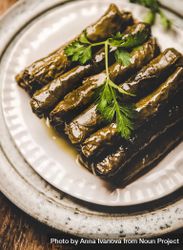 Plate of stuff grape leaves, vertical composition, close up 5o3NQ5