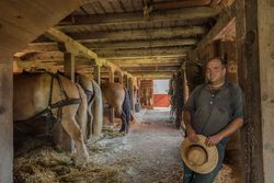 Ian Ferry and his work horses at The Howell Living History Farm in Lambertville, New Jersey P4ZZy4