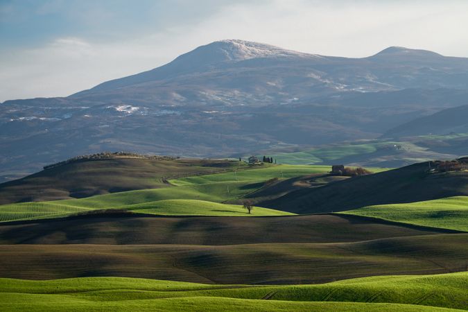 Wonderful empty green fields
