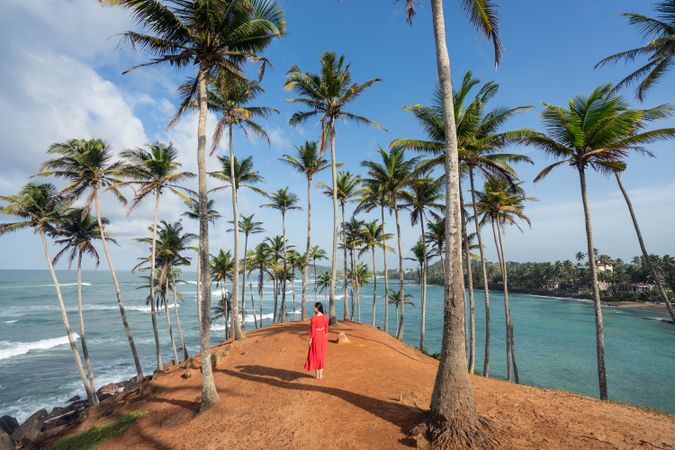 Tranquil female traveler among palms at seashore