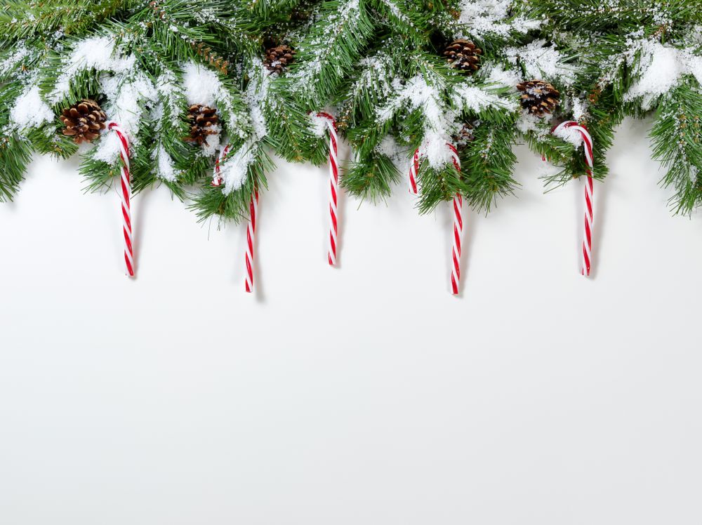 Christmas snowy tree branches and candy cane ornaments