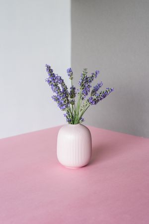 Vase of lavender flower in a multicolor background