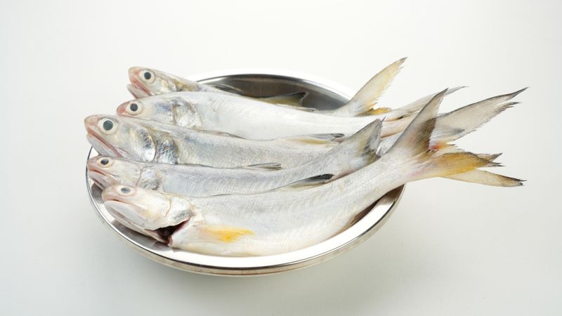 Yellow Croaker Fish, Ikan Ekor Kuning, served on stainless bowl
