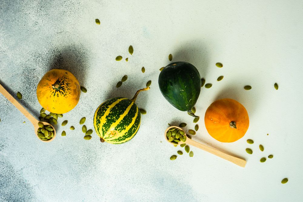 Top view of colorful mini squash on sunny counter with spoons of seeds