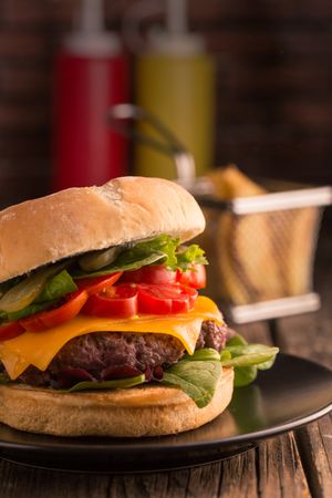 Homemade delicious burger