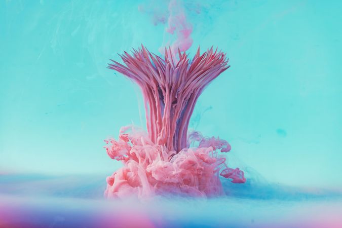 Pink daisy flower with pastel ink